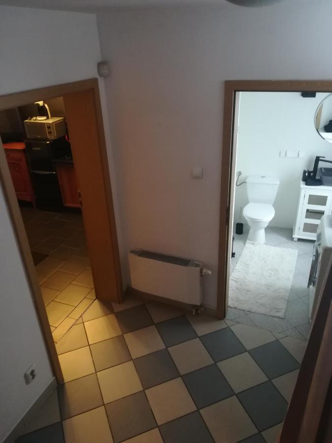 Central Point Appartement Zielona Góra Buitenkant foto